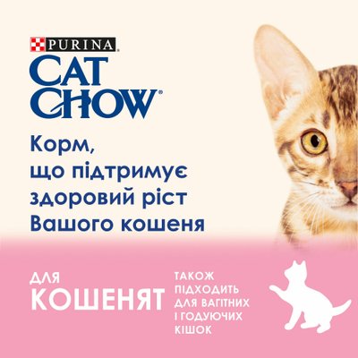 Вологий корм CAT CHOW Kitten для кошенят, шматочки в желе з індичкою та цукіні 85 г (7613036595001) 300415 фото
