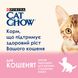 Вологий корм CAT CHOW Kitten для кошенят, шматочки в желе з індичкою та цукіні 85 г (7613036595001) 300415 фото 1