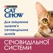 Сухий корм CAT CHOW Urinary для дорослих котів, для підтримки здоров'я сечовивідної системи, з куркою 1.5 кг (5997204514387) 300397 фото 1