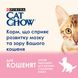 Сухой корм Cat Chow Kitten курица 15 кг для котят (5997204514028) 301997 фото 1