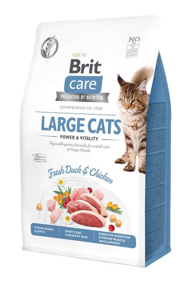 Корм Brit Care Cat сухой для кошек больших пород Брит Кеа Кэт Грейн Фри Лардж Кэтс Пауэр энд Виталити 400г 303817 фото