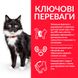 Сухий корм для зрілих котів від 7 років з куркою Hill's Plan Mature Adult 7+ Sterilised 0.3кг (052742934907) 70871926 фото 3