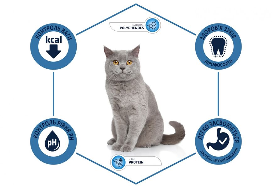 Сухой Корм ​​Advance Cat Sterilized для стерилизованных кошек с индейкой 0,4 кг (8410650160467) Арт.922227 65838768 фото