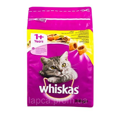 Сухий корм Whiskas курка 300г для доророслих котів (5900951014055) 300302 фото
